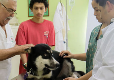 Jornada de atención Veterinaria UCN CAMPUS CENTRAL