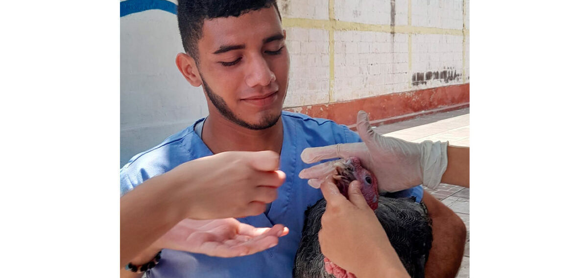 ESTUDIANTES DE MEDICINA VETERINARIA UCN CAMPUS DORAL, PARTICIPAN EN JORNADA DE ATENCIÓN ANIMAL