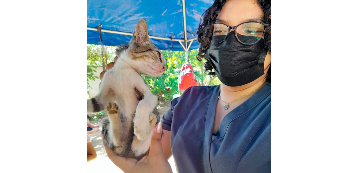 ESTUDIANTES DE MEDICINA VETERINARIA DE UCN CAMPUS DORAL, REALIZAN JORNADA DE ATENCIÓN ANIMAL