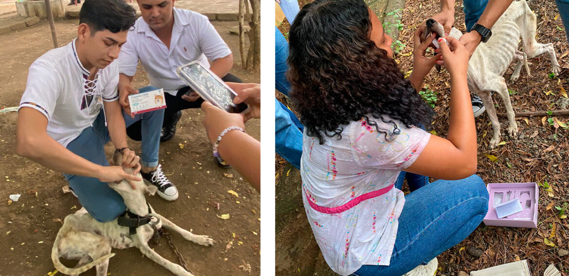 Voluntariado carrera de Medicina Veterinaria.