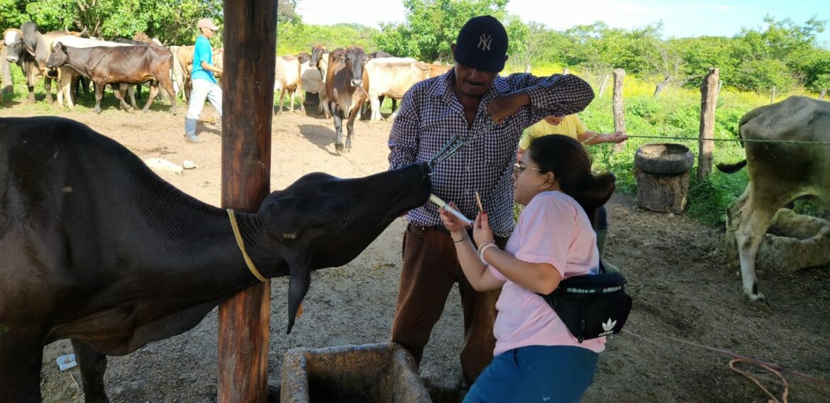 PRACTICAS INTERSEMETRALES MEDICINA VETERINARIA