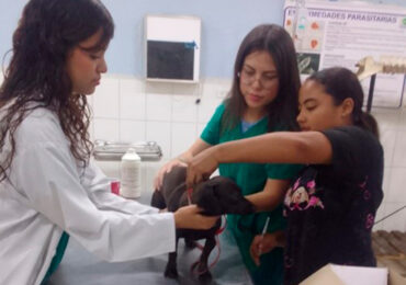 UCN Campus Doral Realiza Jornada de Salud Animal con Estudiantes de Medicina Veterinaria